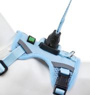 熱銷經典款 水藍：圖片 5