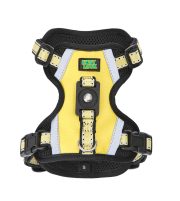 氣質皮革款 香檳黃