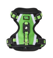 氣質皮革款 青檸綠