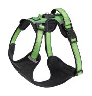 氣質皮革款 青檸綠：圖片 2