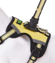 氣質皮革款 香檳黃：圖片 4