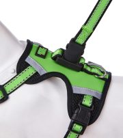 氣質皮革款 青檸綠：圖片 5