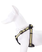 輕量款 香檳黃：圖片 3