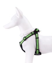 輕量款 青檸綠：圖片 3