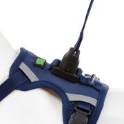 熱銷經典款 深藍：圖片 5