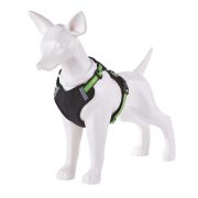 氣質皮革款 青檸綠：圖片 4